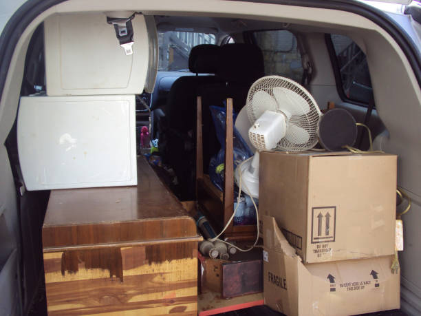 Best Attic Cleanout  in Glyndon, MN